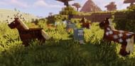 Shown: A herd of brown Horses (Image via Minecraft)